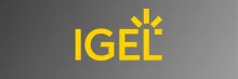 Big Moves in DEX Coming Next Week at IGEL Now & Next