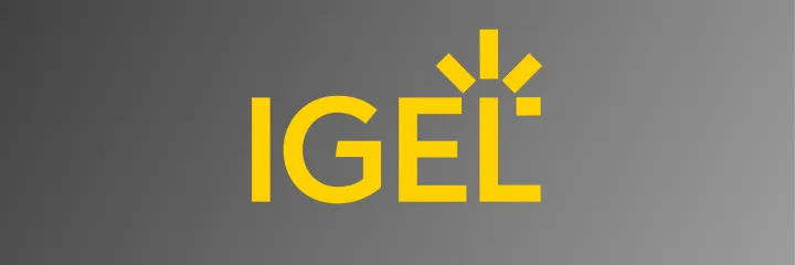 Big Moves in DEX Coming Next Week at IGEL Now & Next