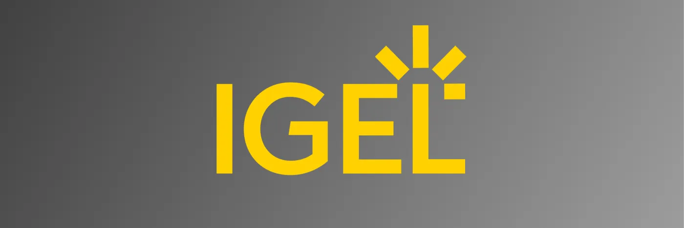 Big Moves in DEX Coming Next Week at IGEL Now & Next